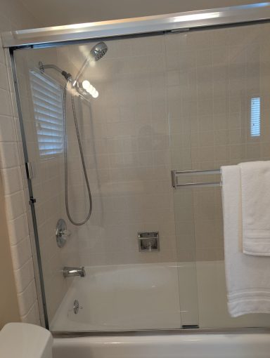 Master bath shower and tub