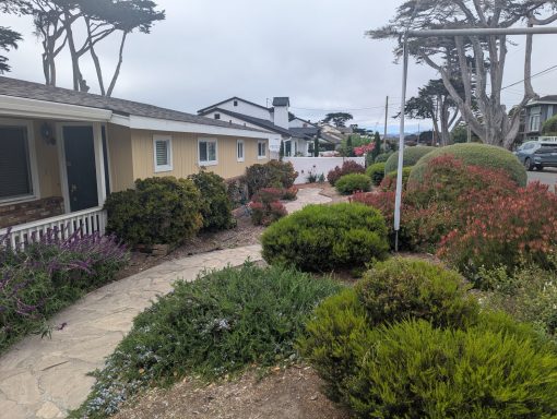 Front house